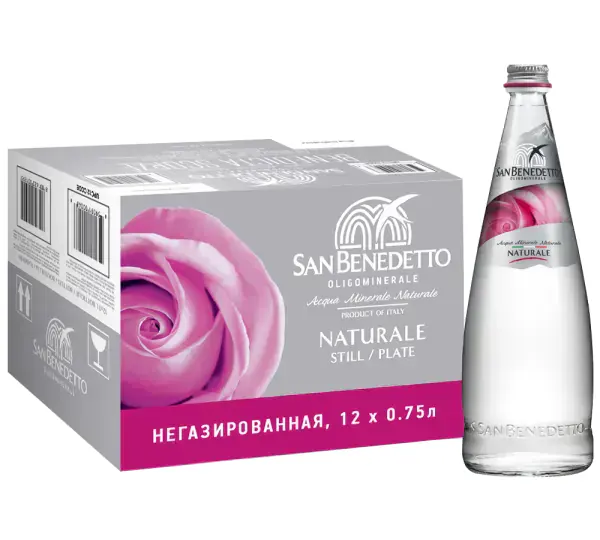 Вода негазированная San Benedetto     (12 шт.), 0.75
San Benedetto Сан Бенедетто негаз стекло КОР12